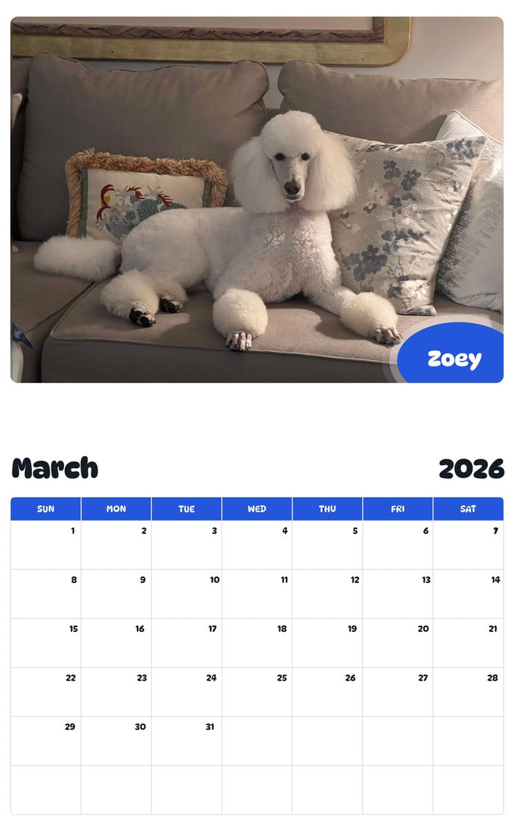 November 2025 - October 2026 Zoey - Pawidols Pet Calendar