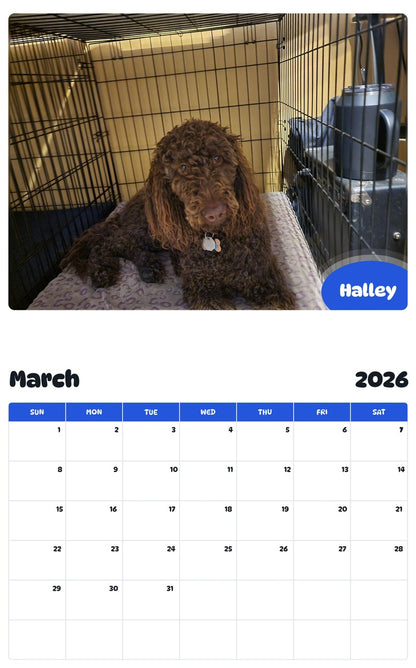 November 2025 - October 2026 Halley - Pawidols Pet Calendar