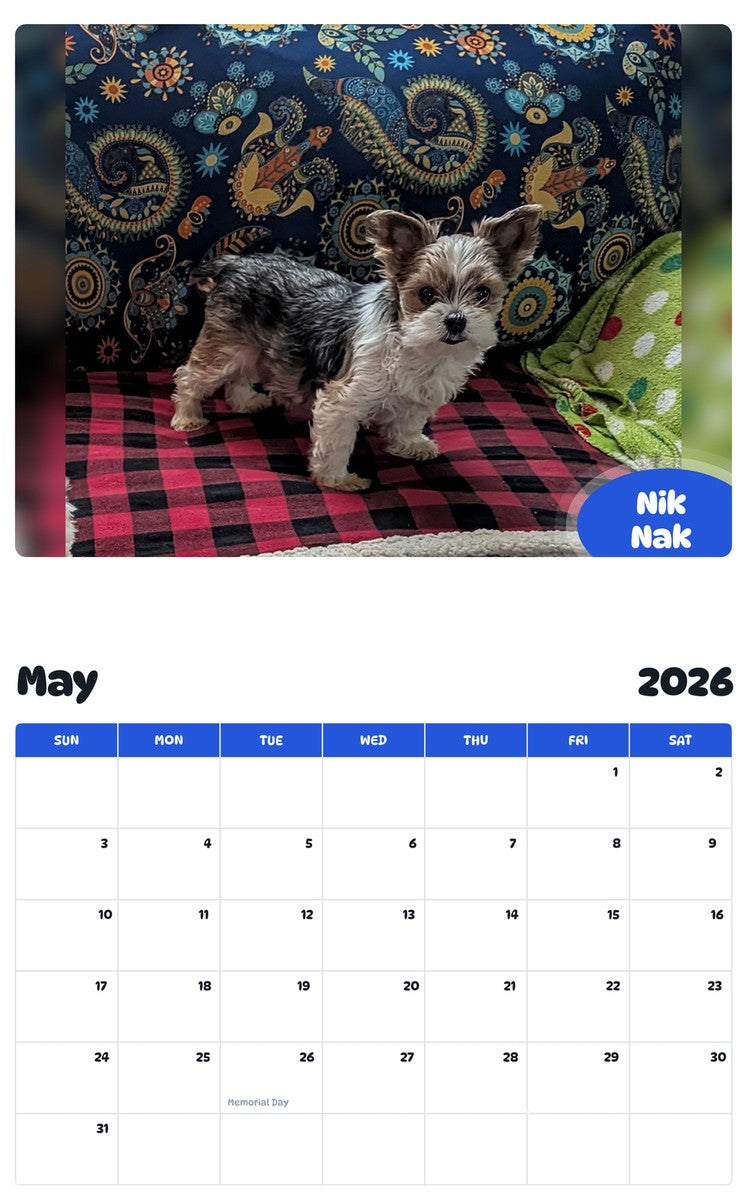 2026 - 2027 Nik Nak - Pawidols Pet Calendar