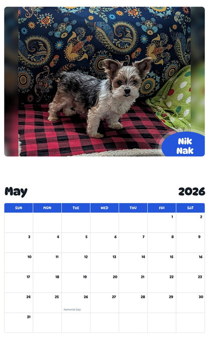 2026 - 2027 Nik Nak - Pawidols Pet Calendar