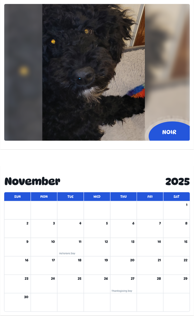 July 2025 - June 2026 Noir - Pawidols Pet Calendar