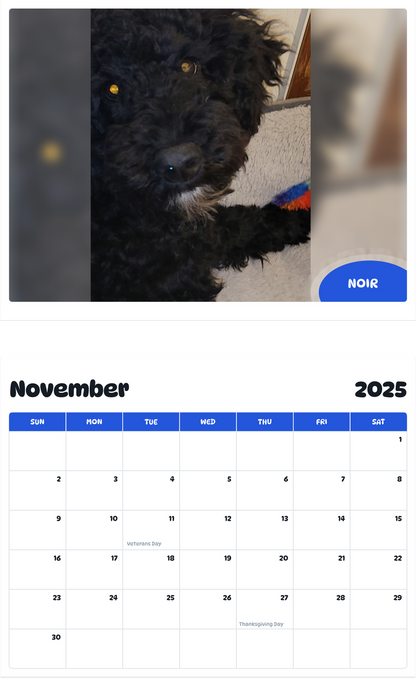 July 2025 - June 2026 Noir - Pawidols Pet Calendar