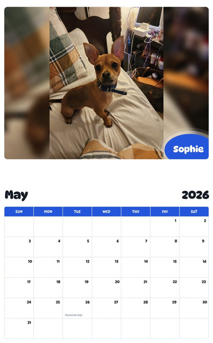 2026 - 2027 Sophie - Pawidols Pet Calendar