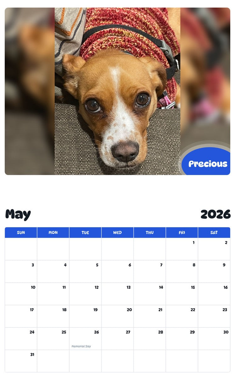 2026 - 2027 Precious - Pawidols Pet Calendar