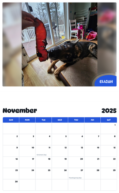 July 2025 - June 2026 Elijah - Pawidols Pet Calendar