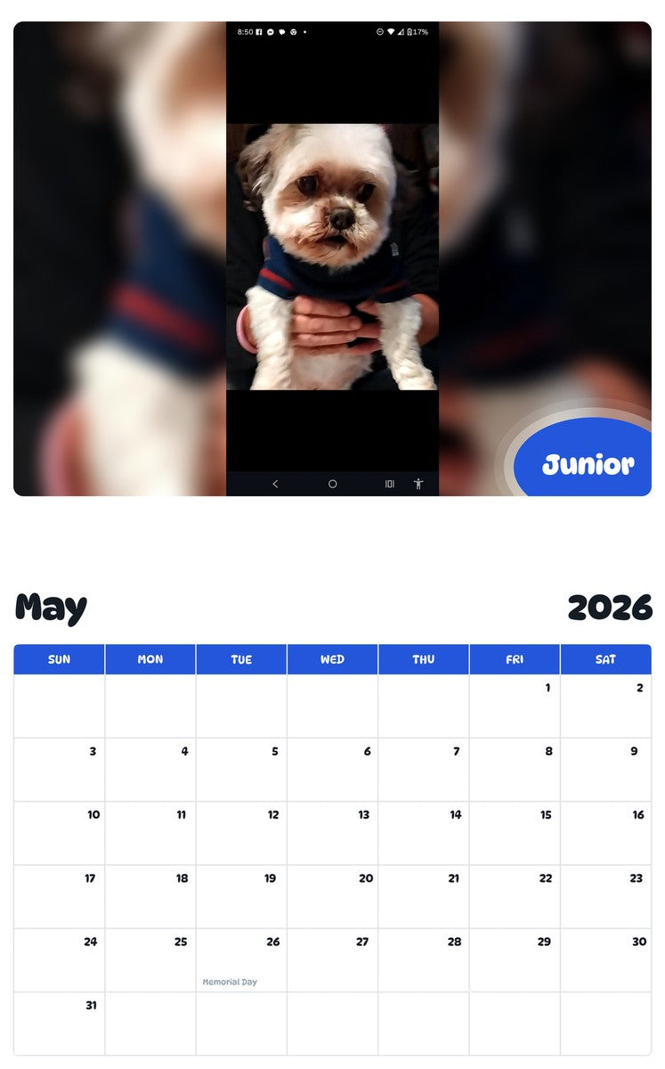 2026 - 2027 Junior - Pawidols Pet Calendar