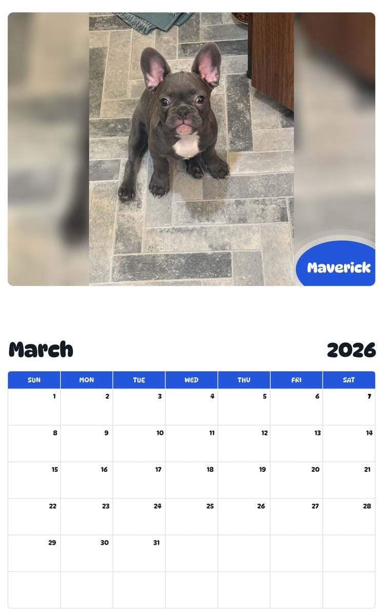 November 2025 - October 2026 Maverick - Pawidols Pet Calendar