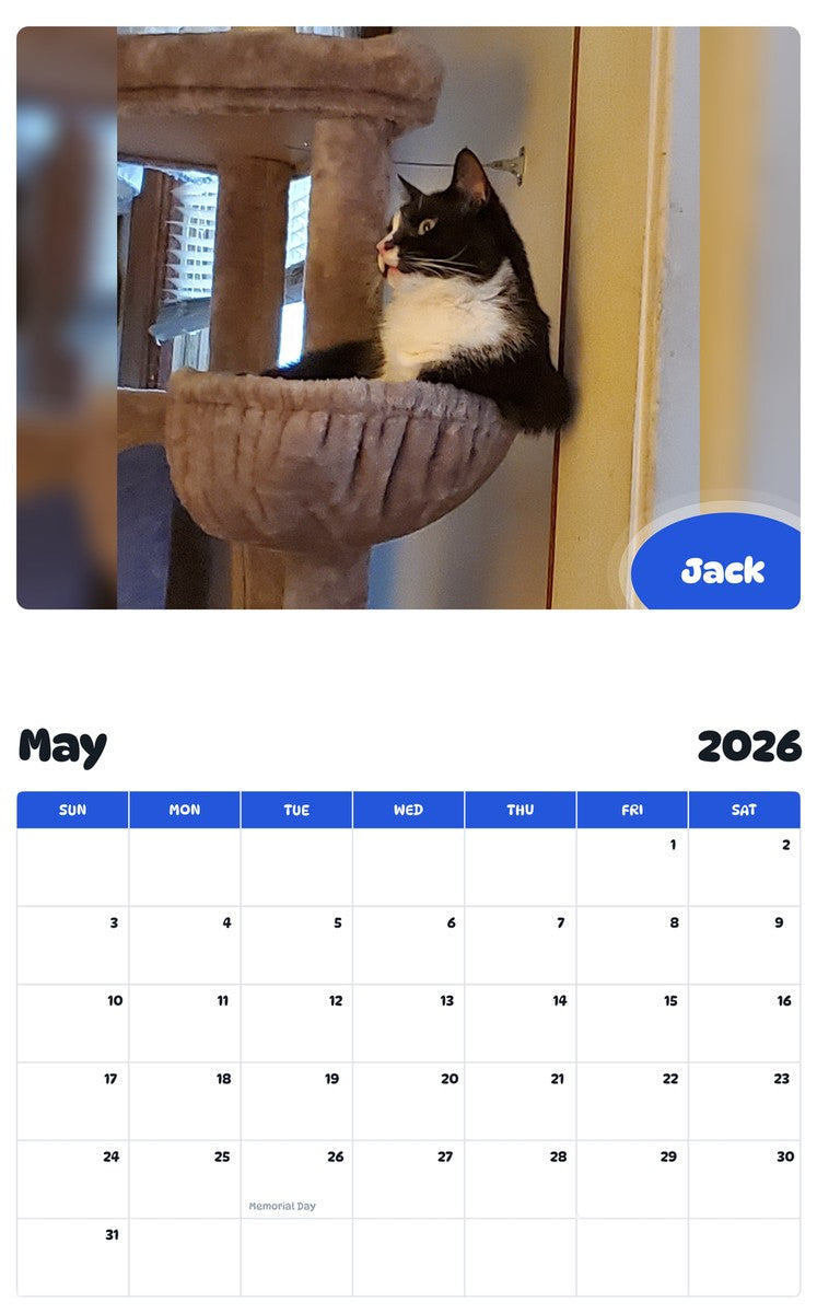 2026 - 2027 Jack - Pawidols Pet Calendar