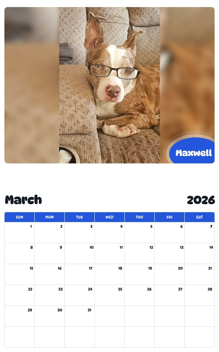 November 2025 - October 2026 Maxwell - Pawidols Pet Calendar