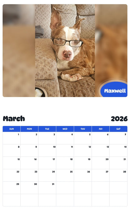 November 2025 - October 2026 Maxwell - Pawidols Pet Calendar