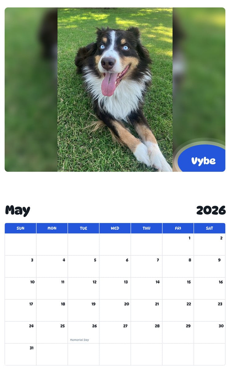 2026 - 2027 Vybe - Pawidols Pet Calendar