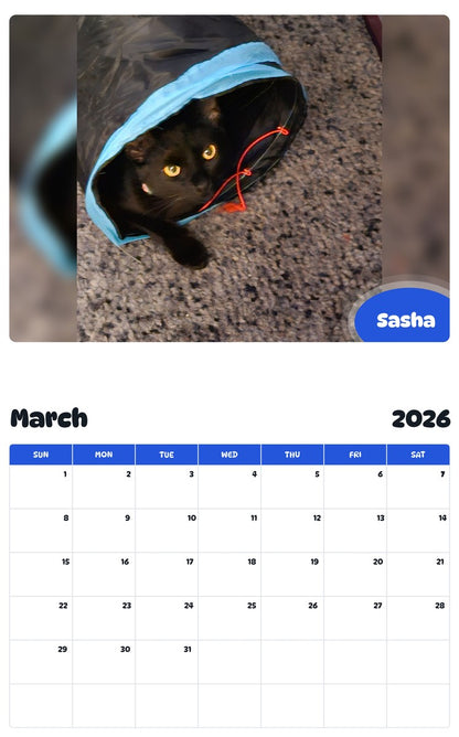 November 2025 - October 2026 Sasha - Pawidols Pet Calendar