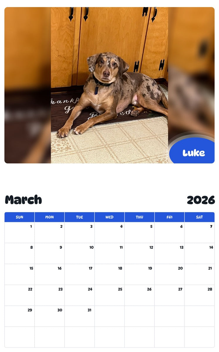 November 2025 - October 2026 Luke - Pawidols Pet Calendar