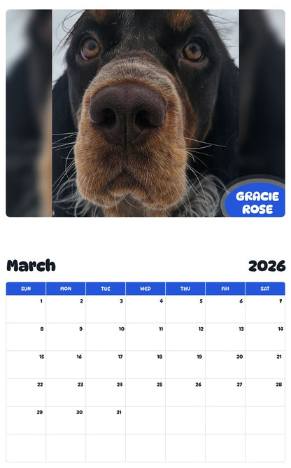 November 2025 - October 2026 GRACIE ROSE - Pawidols Pet Calendar