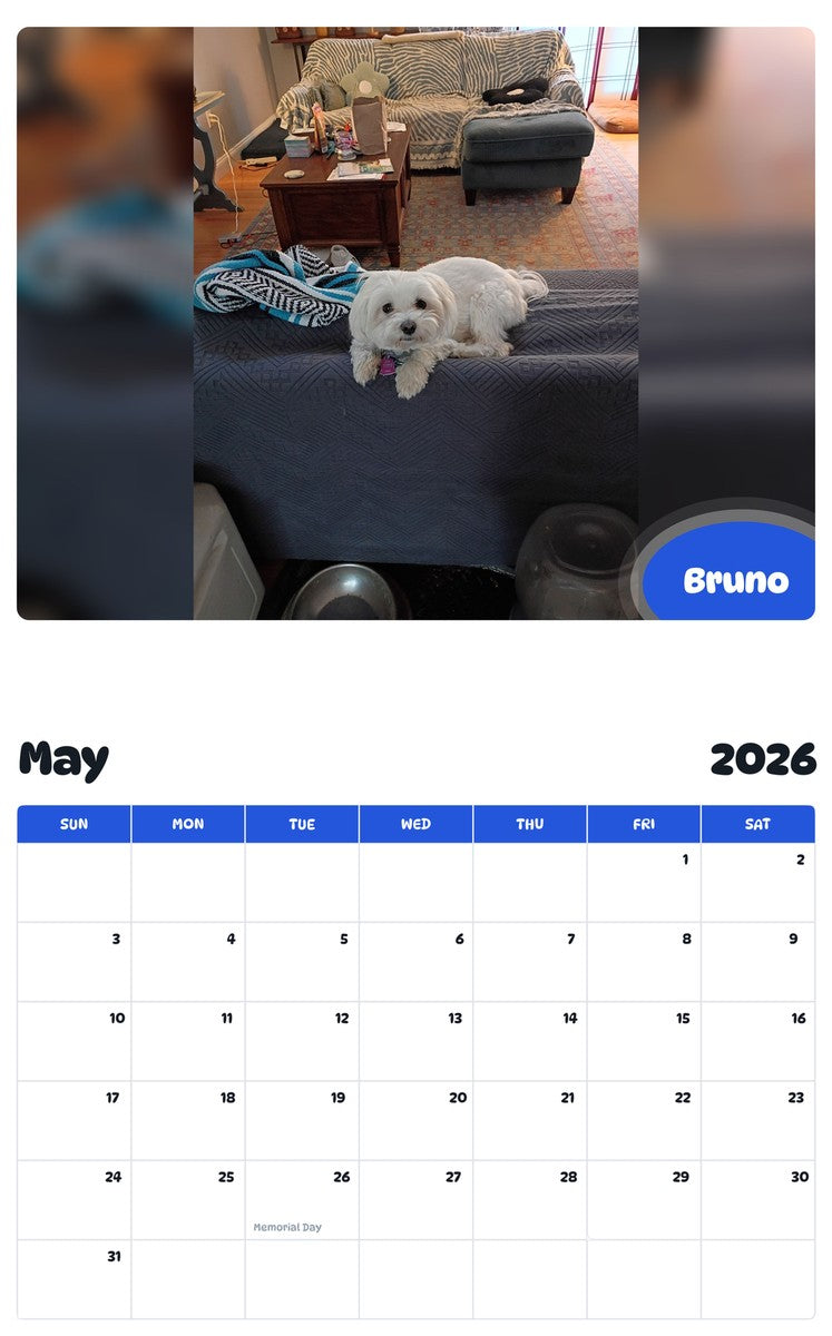 2026 - 2027 Bruno - Pawidols Pet Calendar