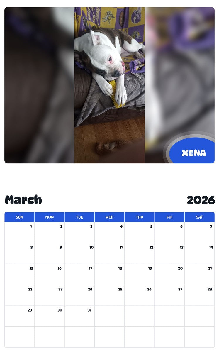 November 2025 - October 2026 XENA - Pawidols Pet Calendar