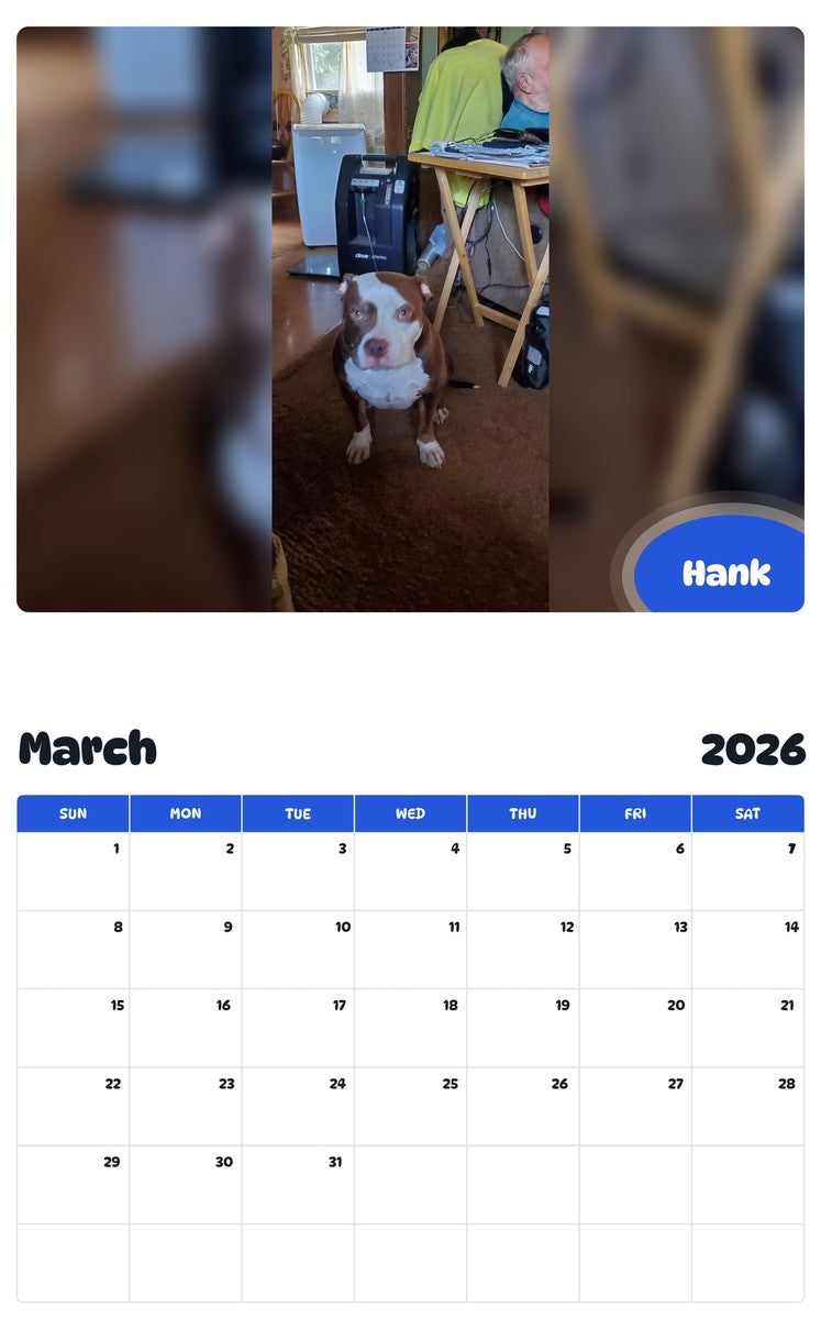 November 2025 - October 2026 Hank - Pawidols Pet Calendar