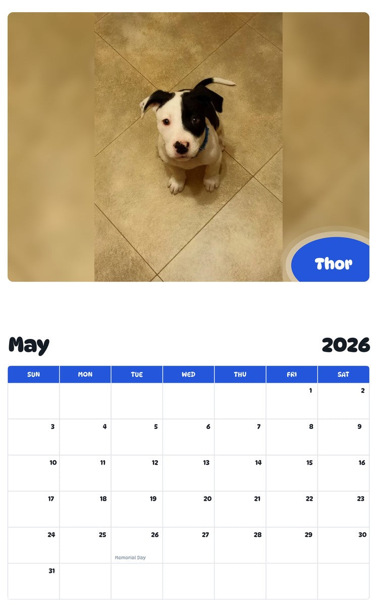 2026 - 2027 Thor - Pawidols Pet Calendar