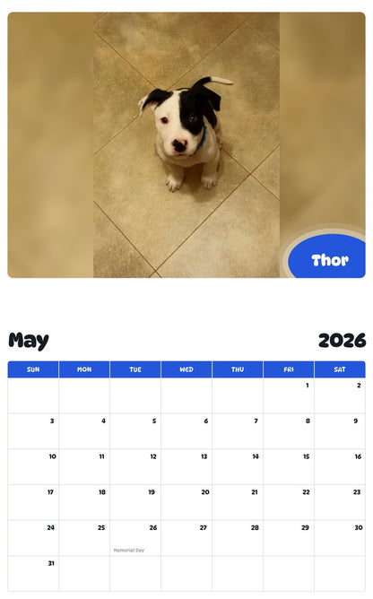 2026 - 2027 Thor - Pawidols Pet Calendar