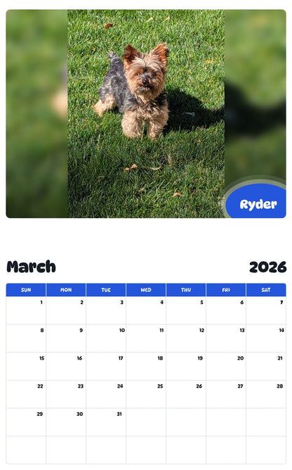 November 2025 - October 2026 Ryder - Pawidols Pet Calendar