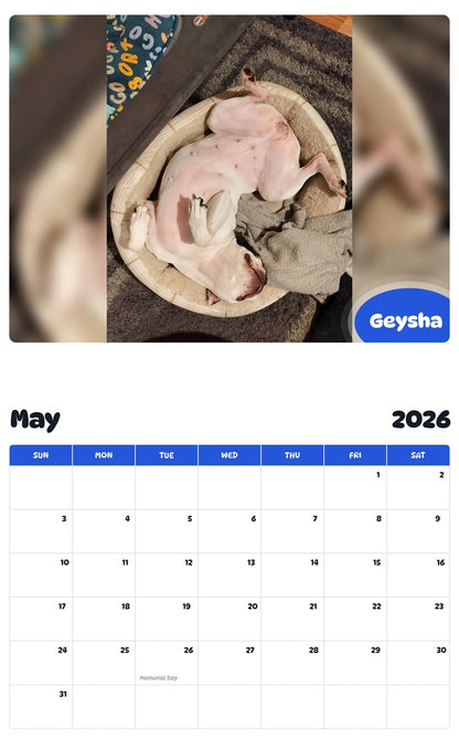 2026 - 2027 Geysha - Pawidols Pet Calendar
