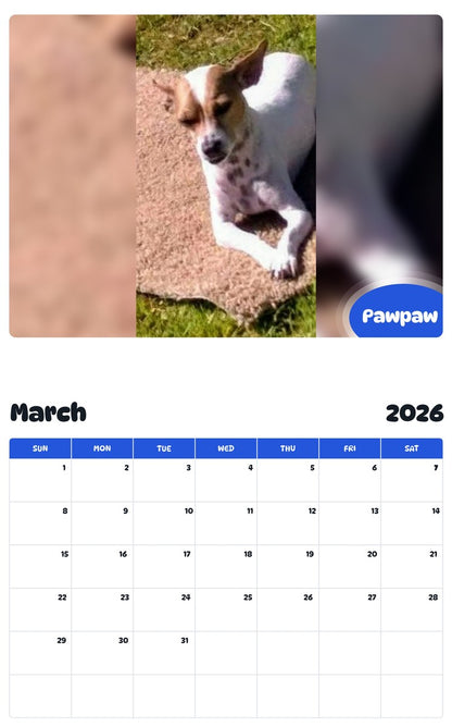November 2025 - October 2026 Pawpaw - Pawidols Pet Calendar