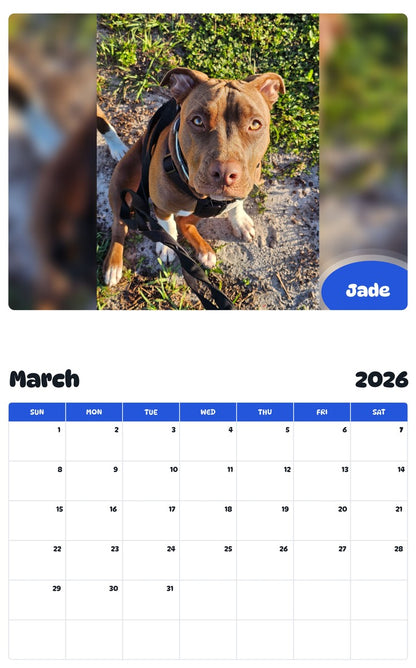 November 2025 - October 2026 Jade - Pawidols Pet Calendar