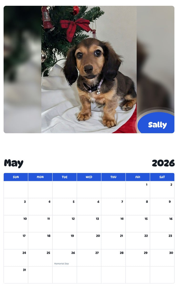2026 - 2027 Sally - Pawidols Pet Calendar