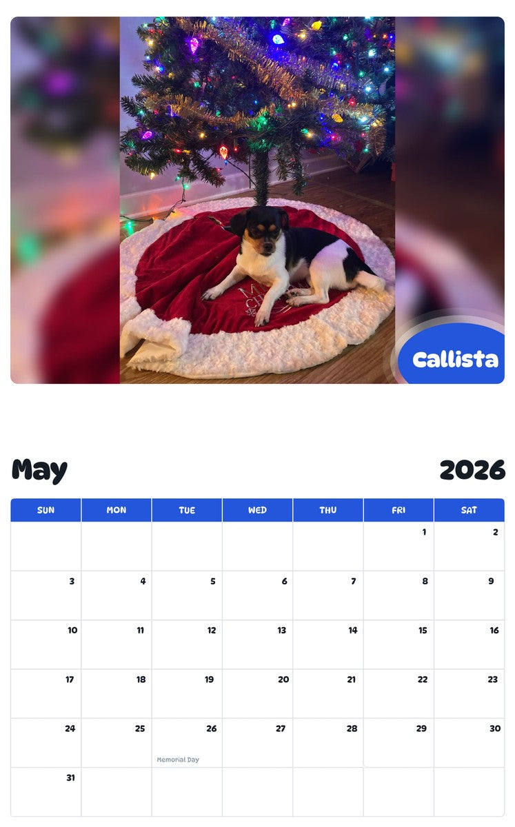 2026 - 2027 Callista - Pawidols Pet Calendar