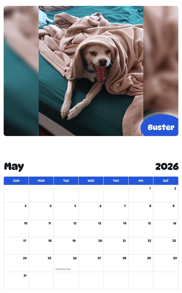 2026 - 2027 Buster - Pawidols Pet Calendar