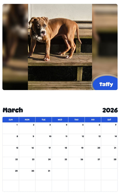 November 2025 - October 2026 Taffy - Pawidols Pet Calendar