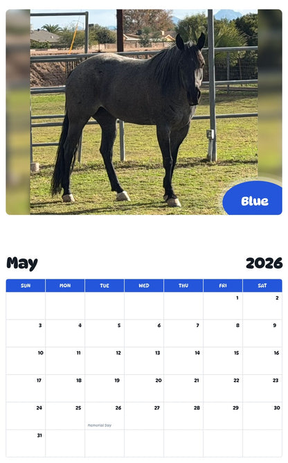 2026 - 2027 Blue - Pawidols Pet Calendar