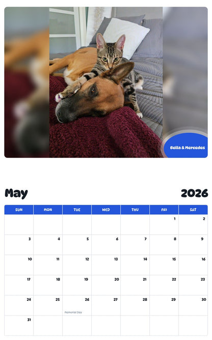 2026 - 2027 Bella & Mercedes - Pawidols Pet Calendar