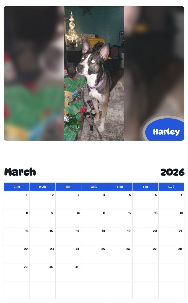 November 2025 - October 2026 Harley - Pawidols Pet Calendar