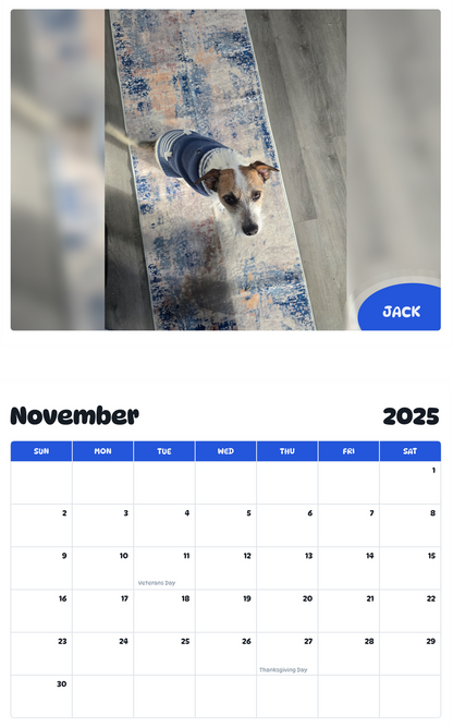July 2025 - June 2026 Jack - Pawidols Pet Calendar