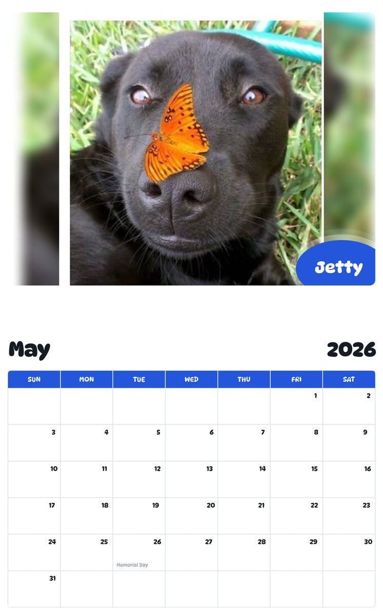 2026 - 2027 Jetty - Pawidols Pet Calendar