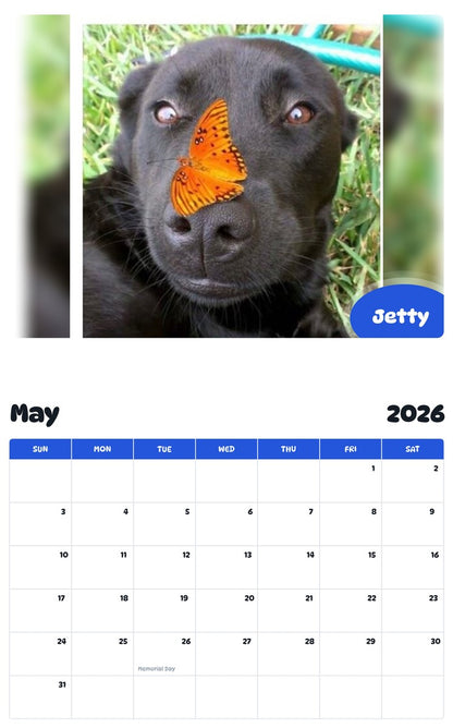 2026 - 2027 Jetty - Pawidols Pet Calendar
