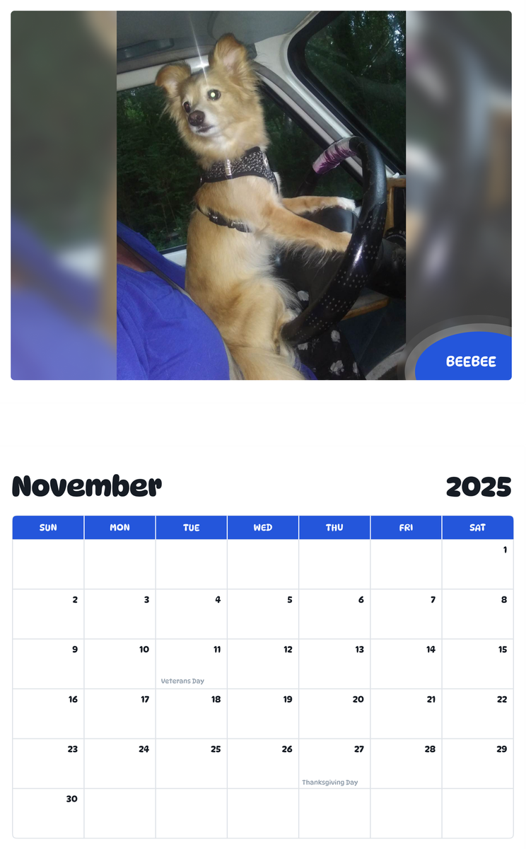 July 2025 - June 2026 Beebee - Pawidols Pet Calendar