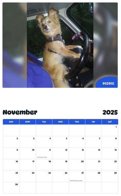 July 2025 - June 2026 Beebee - Pawidols Pet Calendar
