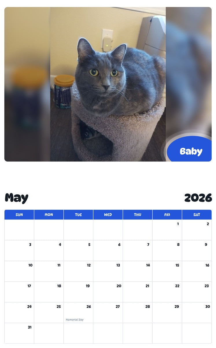 2026 - 2027 Baby - Pawidols Pet Calendar