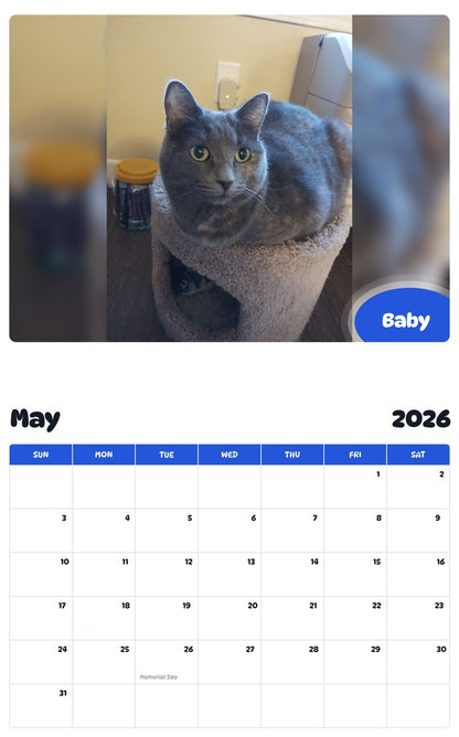 2026 - 2027 Baby - Pawidols Pet Calendar