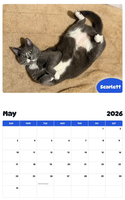2026 - 2027 Scarlett - Pawidols Pet Calendar