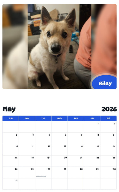 2026 - 2027 Riley - Pawidols Pet Calendar
