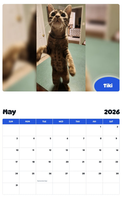 2026 - 2027 Tiki - Pawidols Pet Calendar