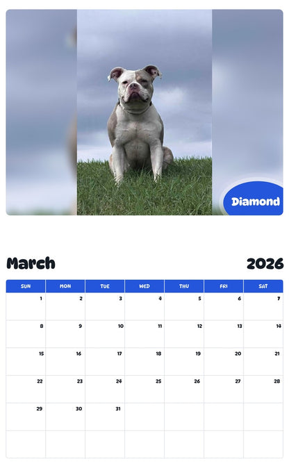 November 2025 - October 2026 Diamond - Pawidols Pet Calendar
