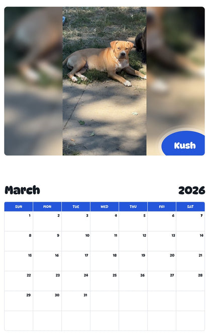 November 2025 - October 2026 Kush - Pawidols Pet Calendar