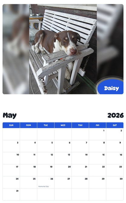 2026 - 2027 Daisy - Pawidols Pet Calendar