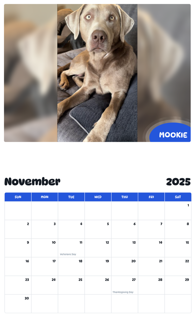 July 2025 - June 2026 Mookie - Pawidols Pet Calendar