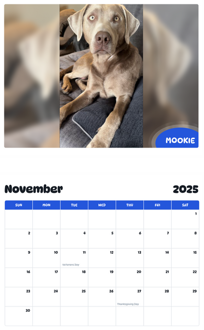 July 2025 - June 2026 Mookie - Pawidols Pet Calendar