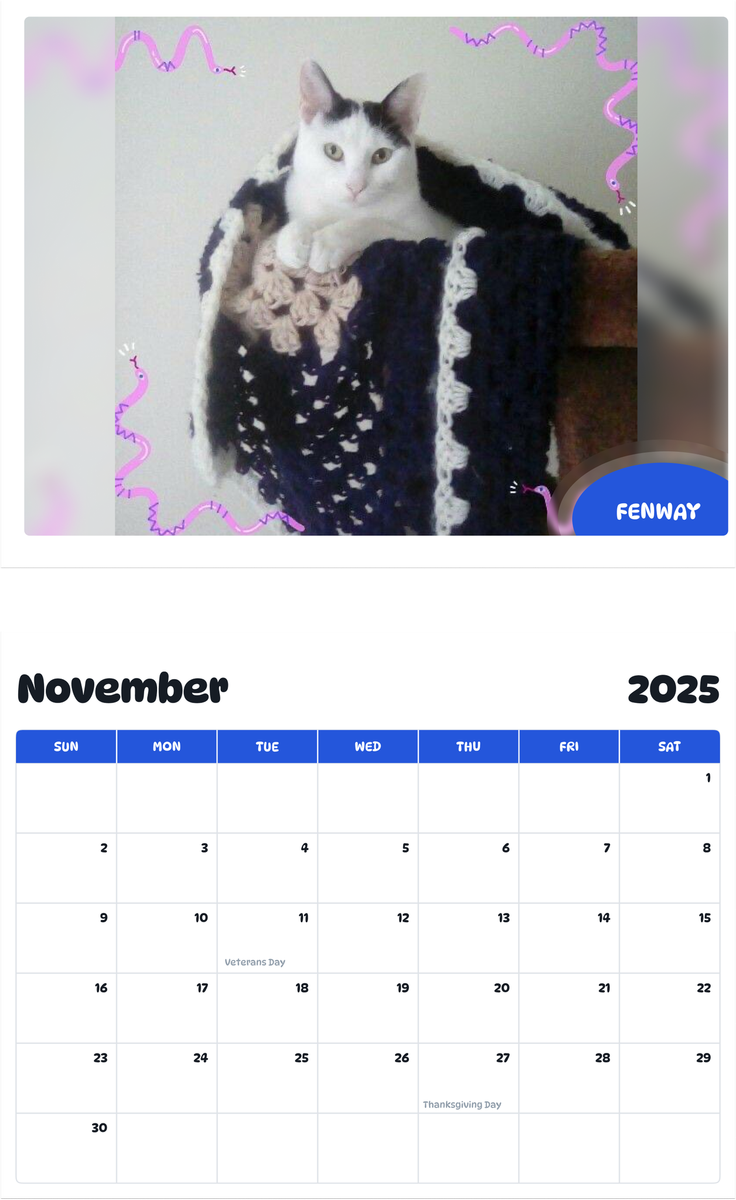 July 2025 - June 2026 Fenway - Pawidols Pet Calendar